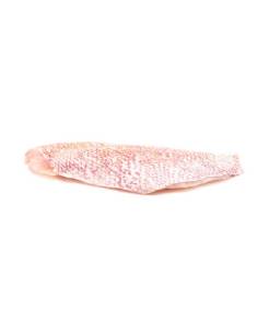 [0000015] Filete de chillo