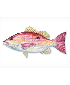 [0000021] Lane Snapper, WGGS, 1- 2 LB